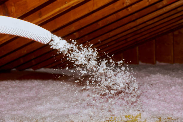 Best Energy Efficiency Insulation in Mount Olive, AL