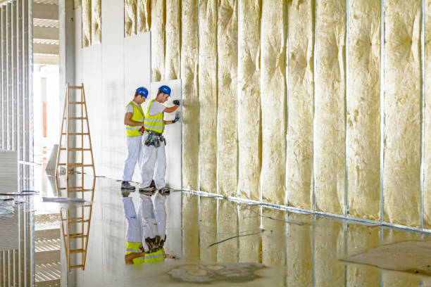 Best Eco-Friendly Insulation in Mount Olive, AL